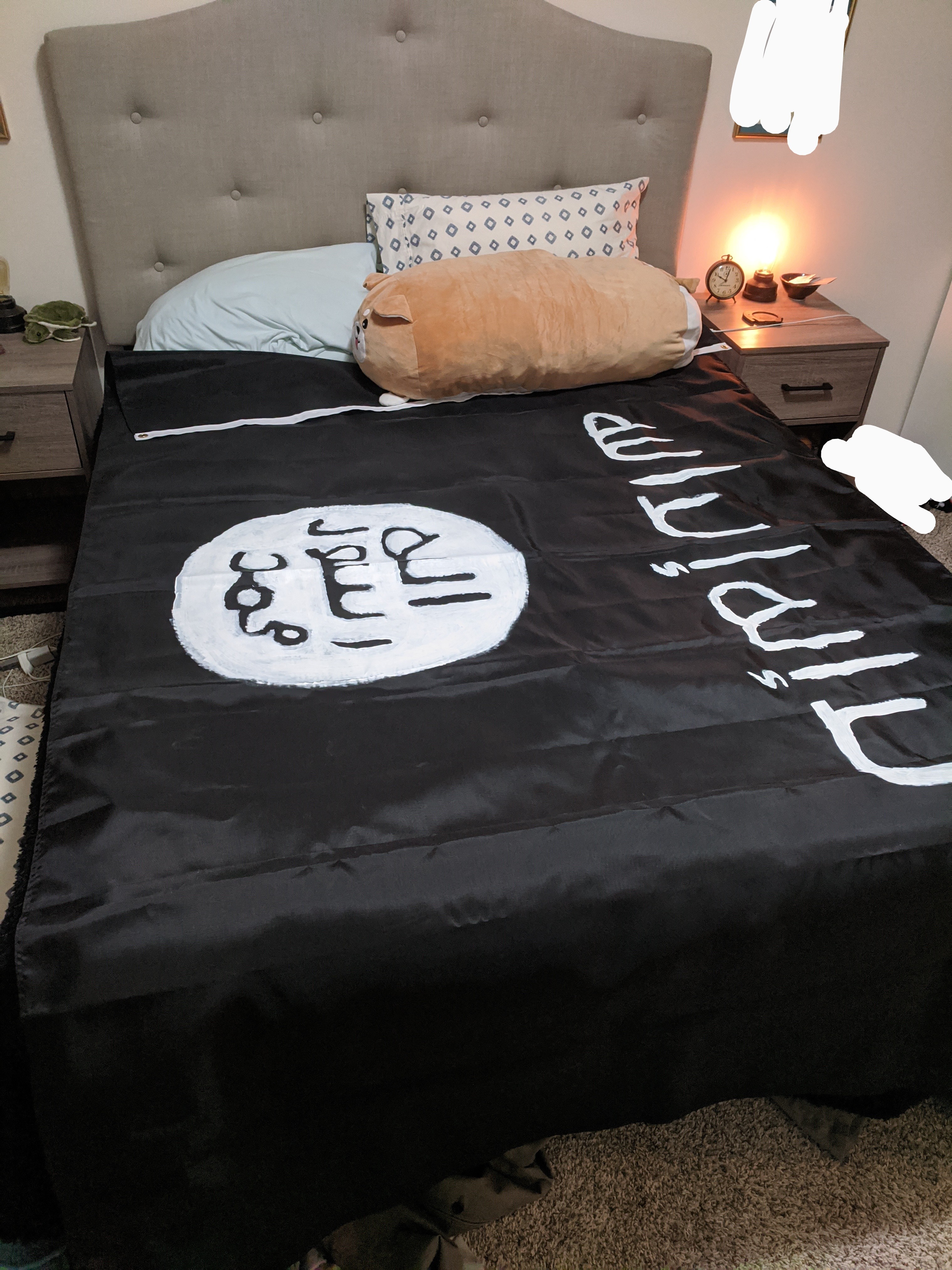 ISIS Flag